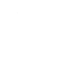 Made in India